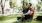 a man and woman sitting on grass